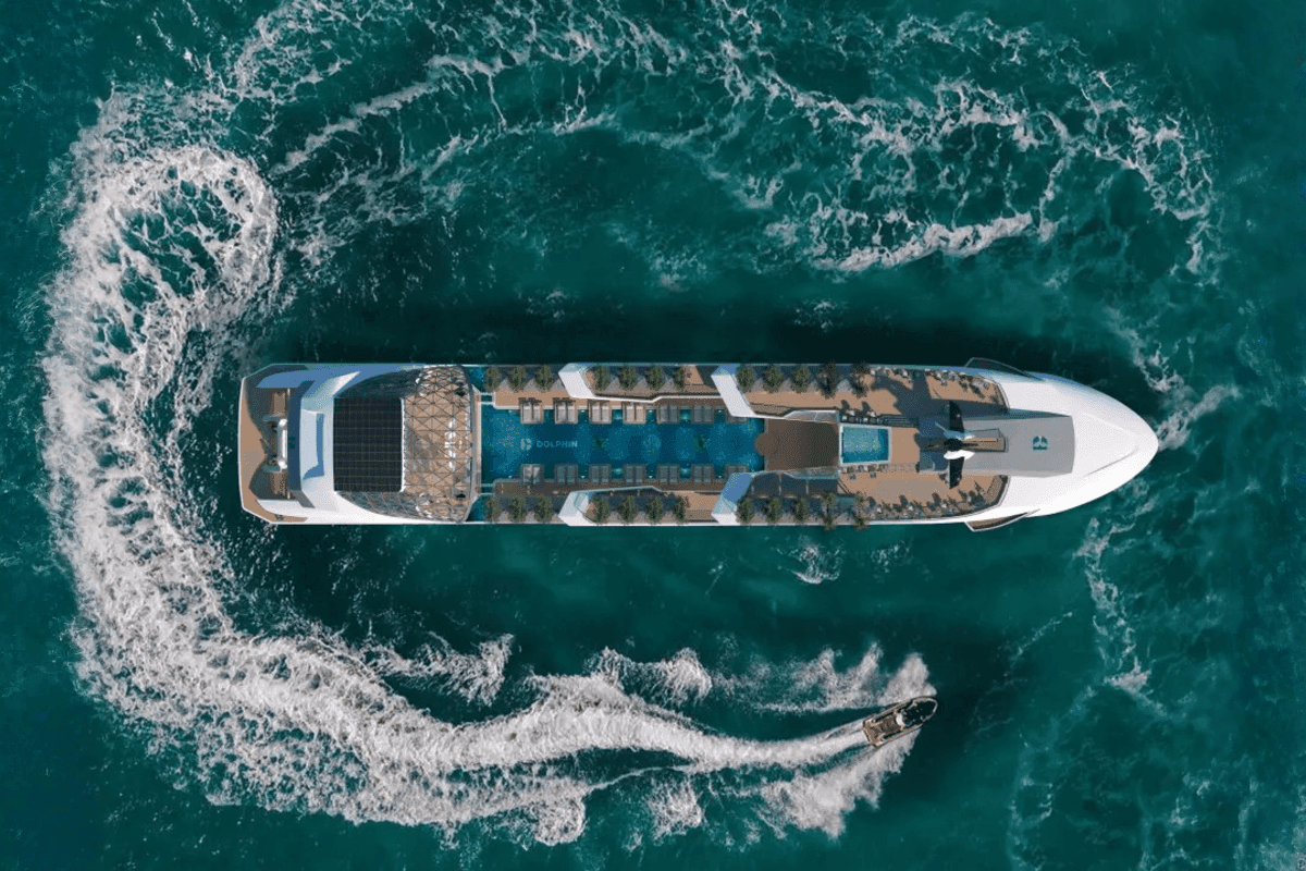 Dolphin luxury cruise