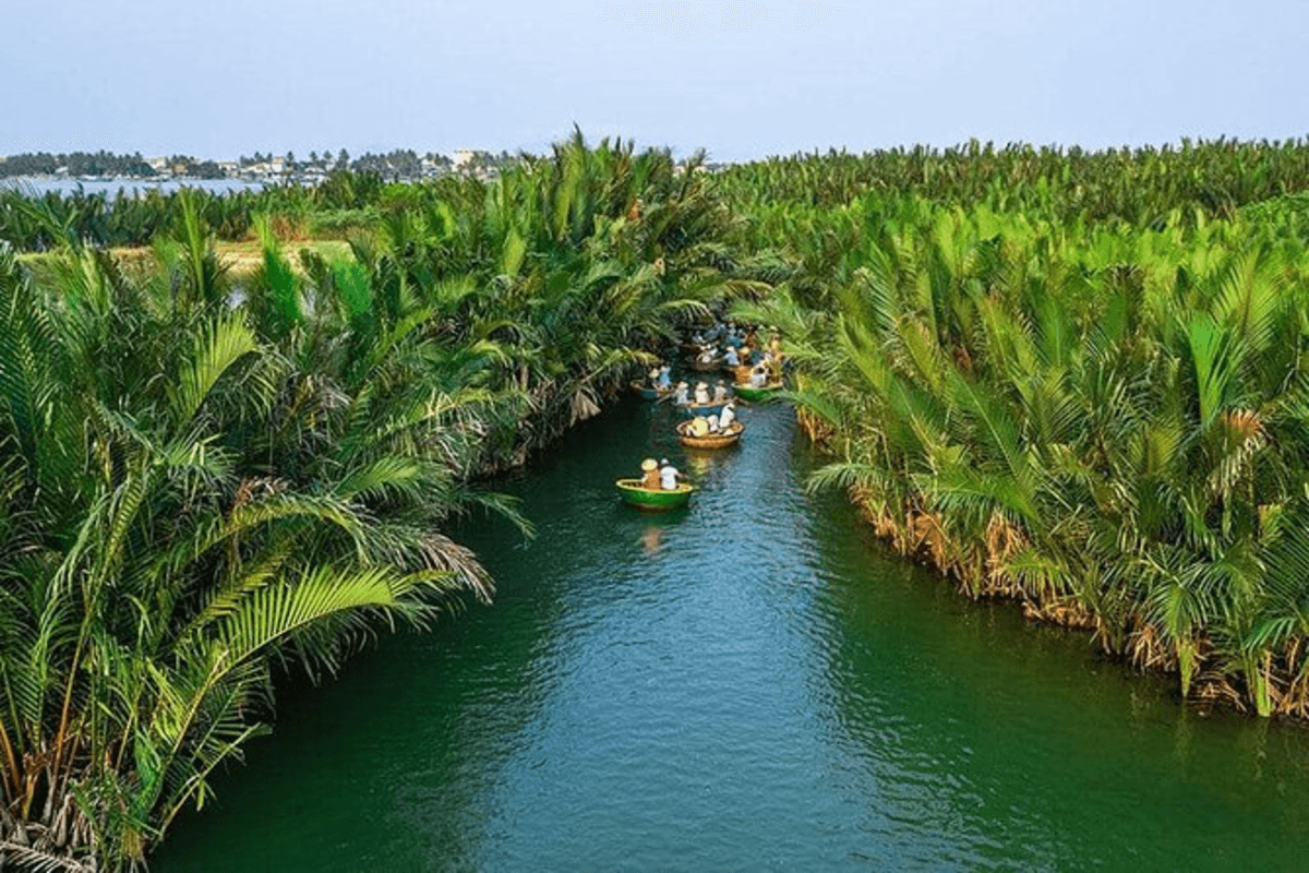 Coconut Forest and Hoi An Ancient City Tour