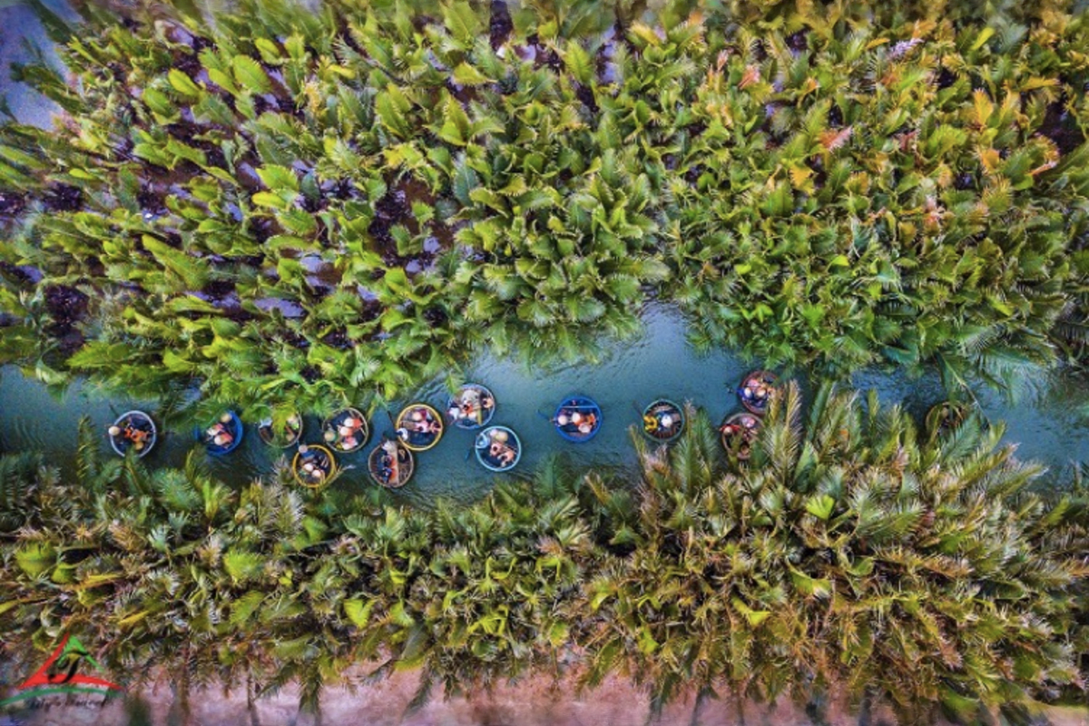 Coconut Forest and Hoi An Ancient City Tour