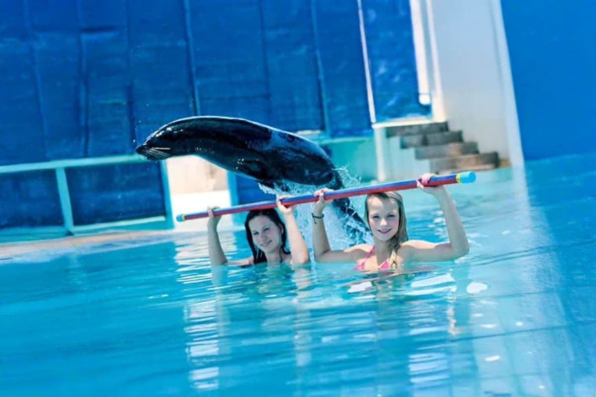 Samui Aquarium and Tiger Zoo