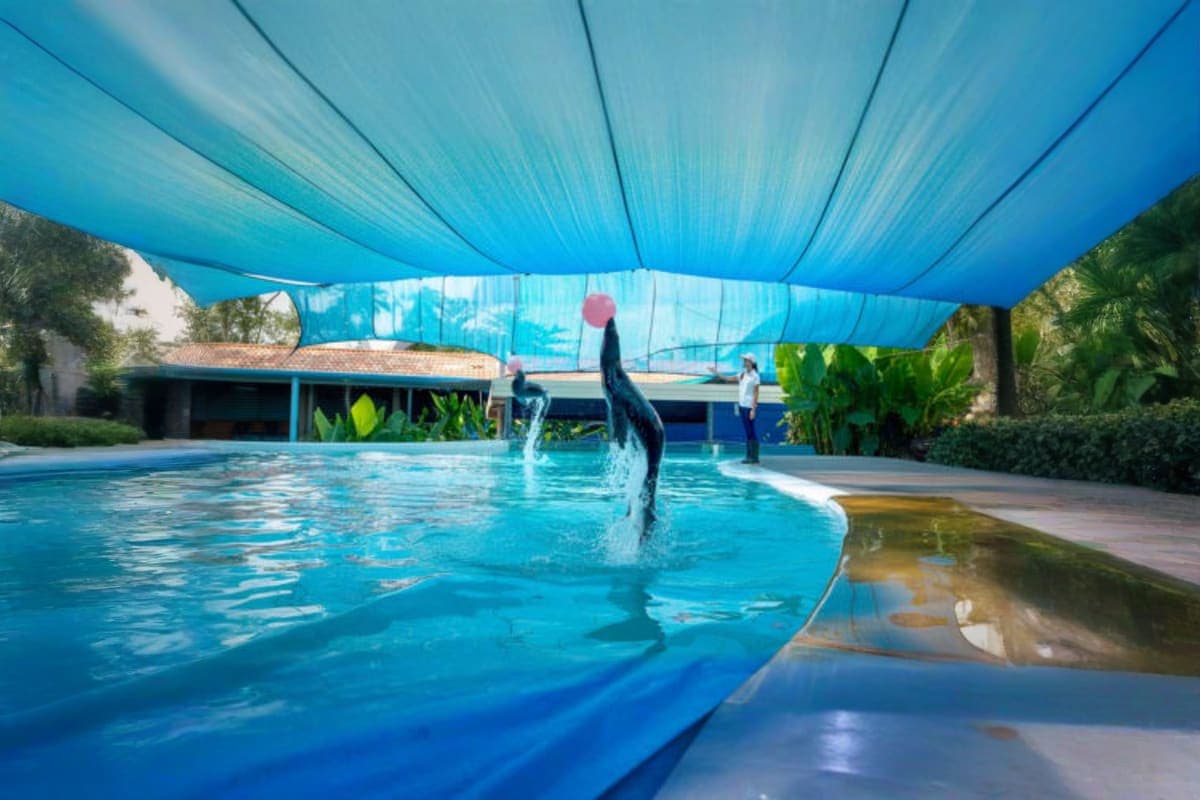 Samui Aquarium and Tiger Zoo