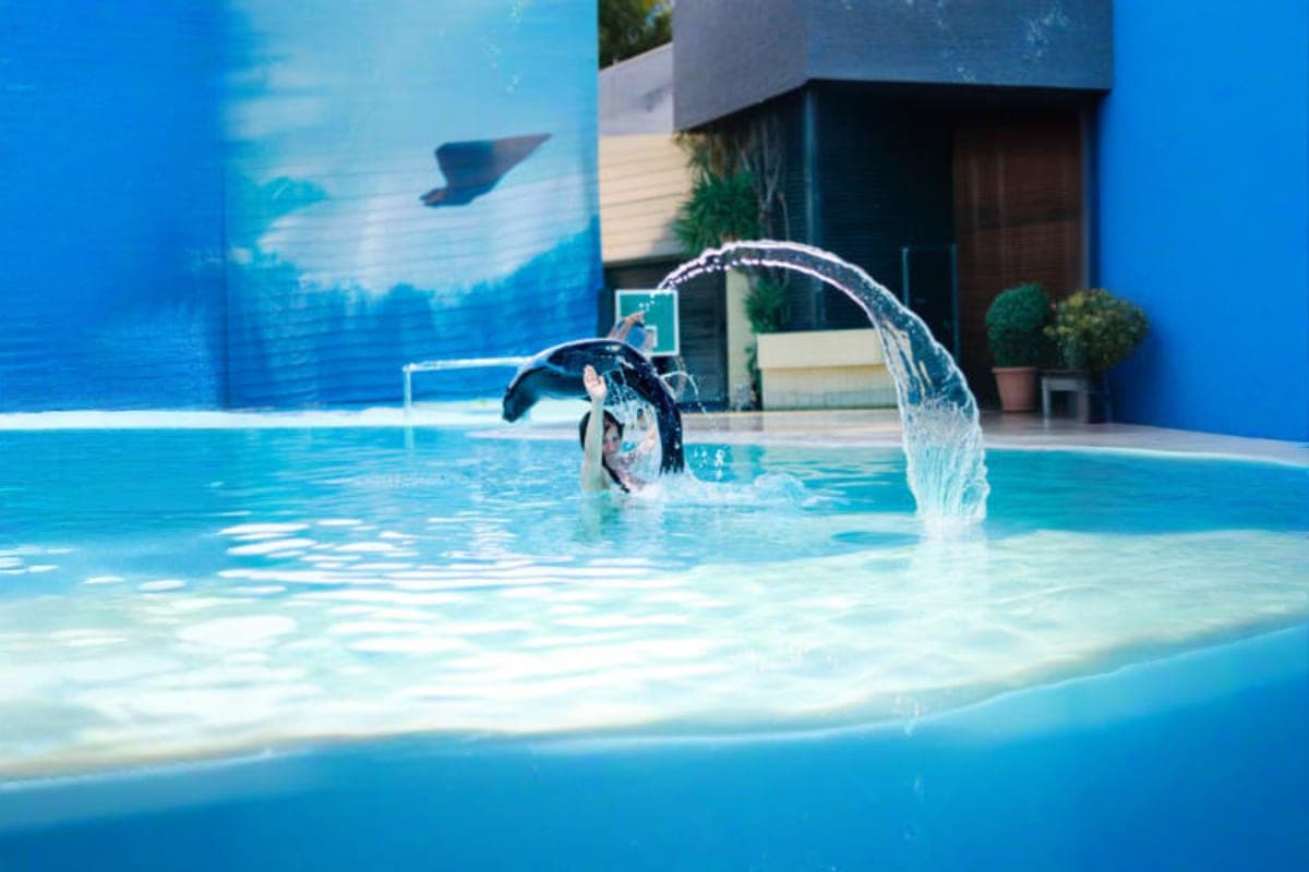 Samui Aquarium and Tiger Zoo