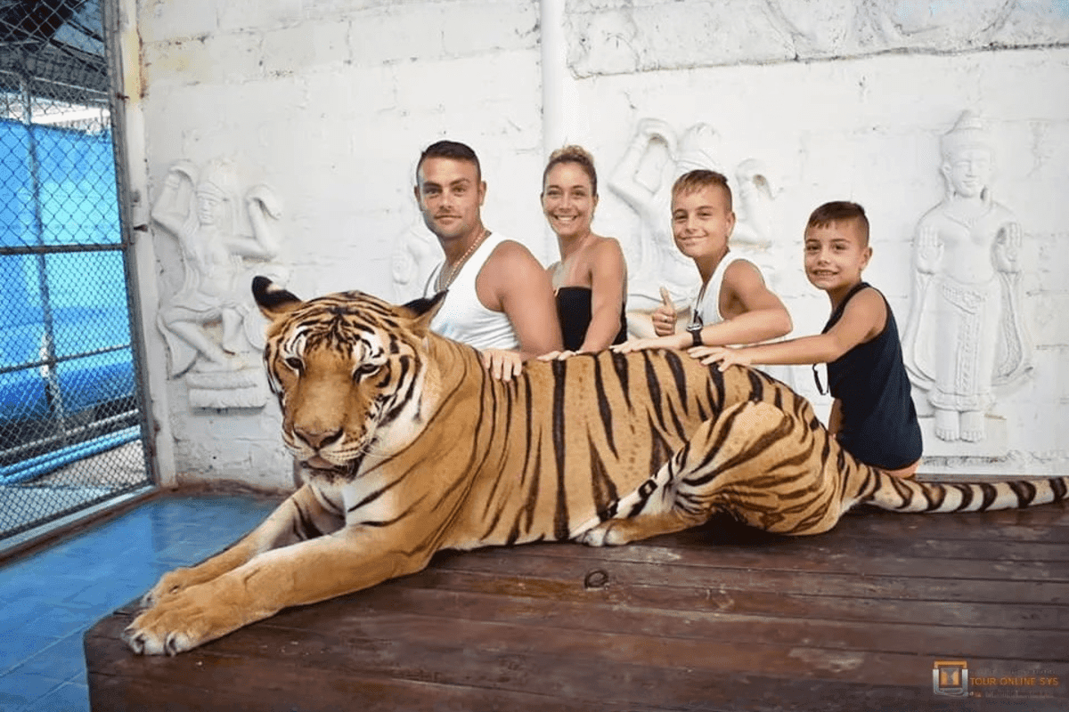 Samui Aquarium and Tiger Zoo