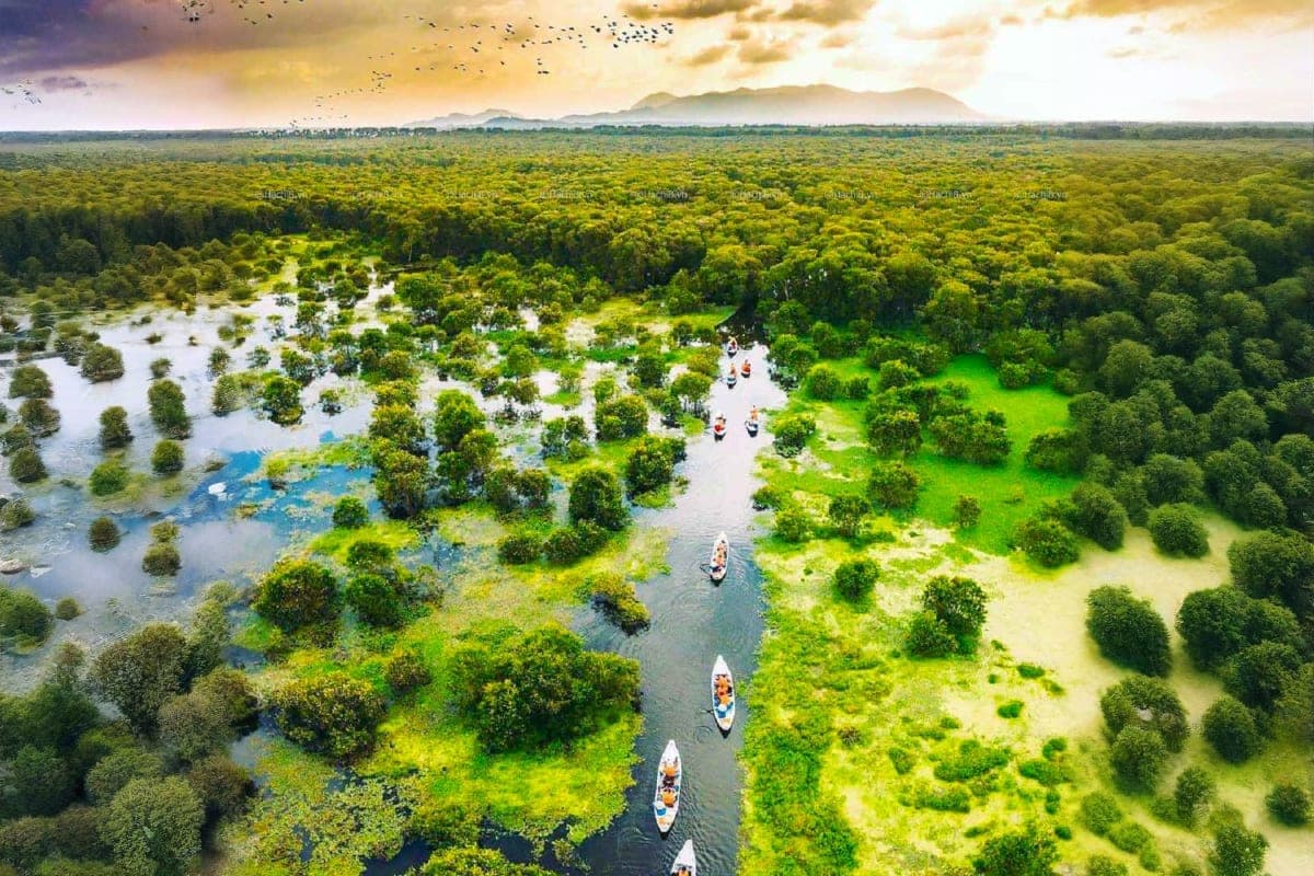 Cu Chi And Mekong Full Day Sharing tour