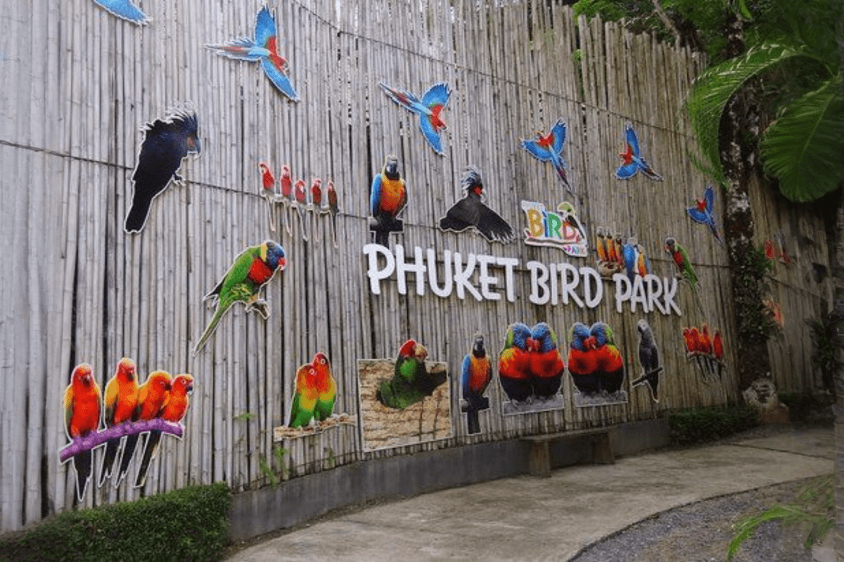 Phuket Bird Park