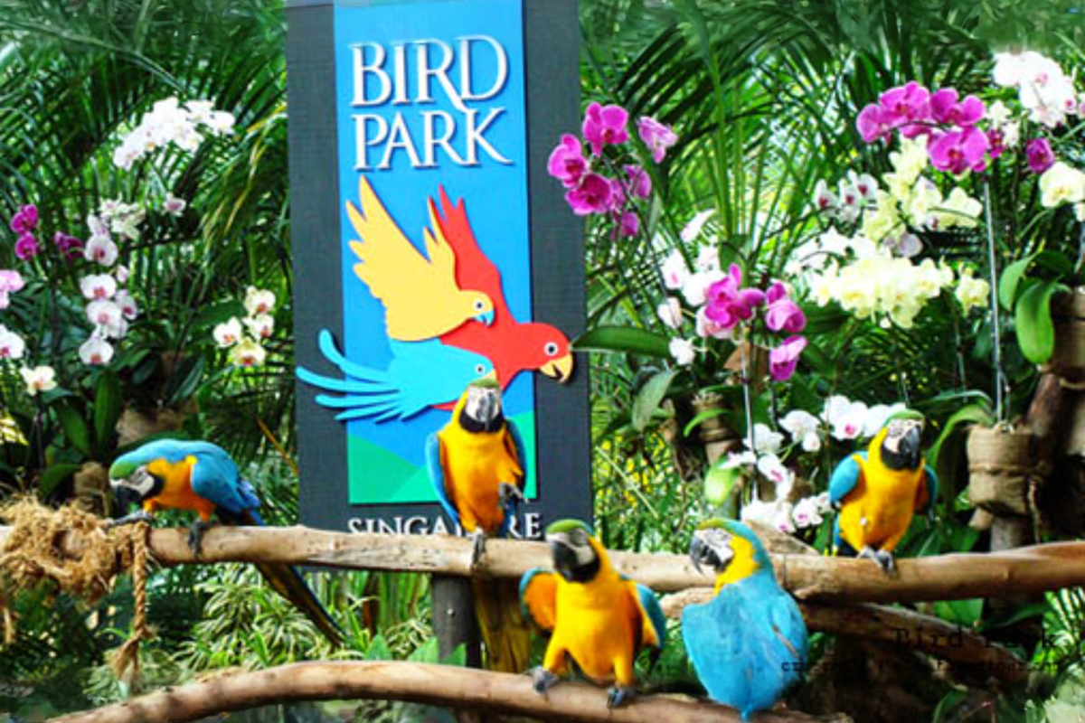 Phuket Bird Park
