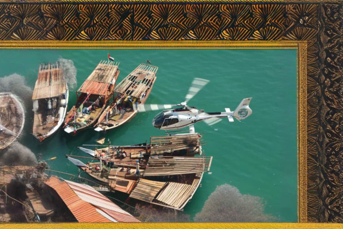 dubai falcon