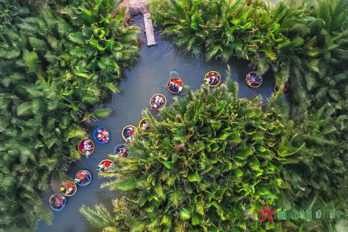 Marble Mountains Coconut Forest and Hoi An Tour