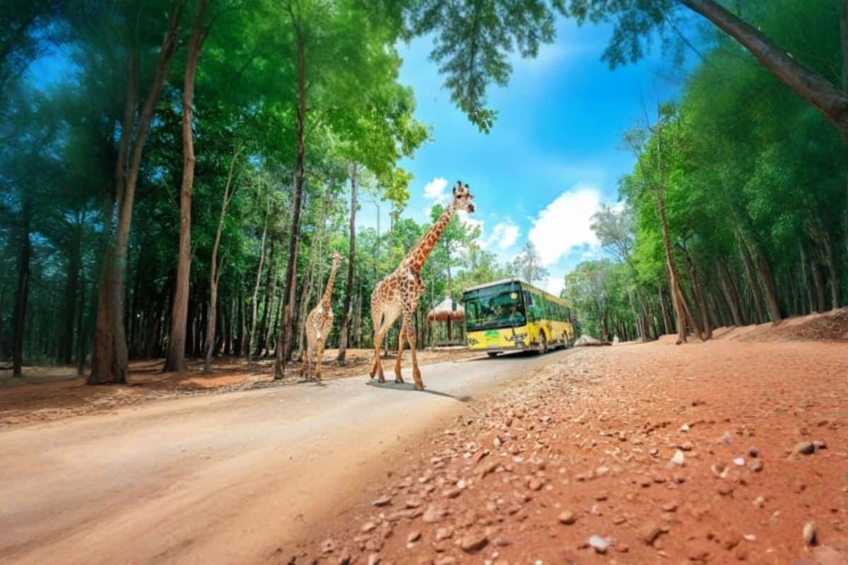 Vinpearl Safari