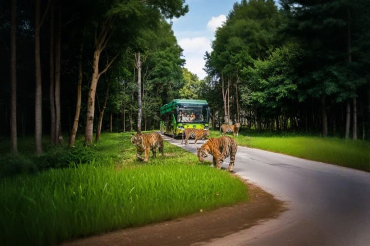 Vinpearl Safari