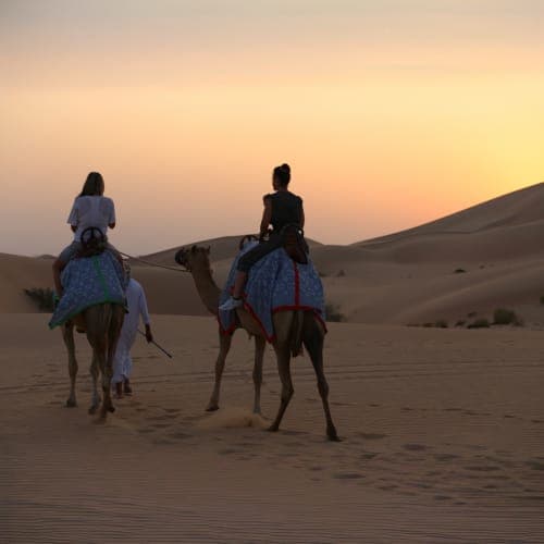 camel ride