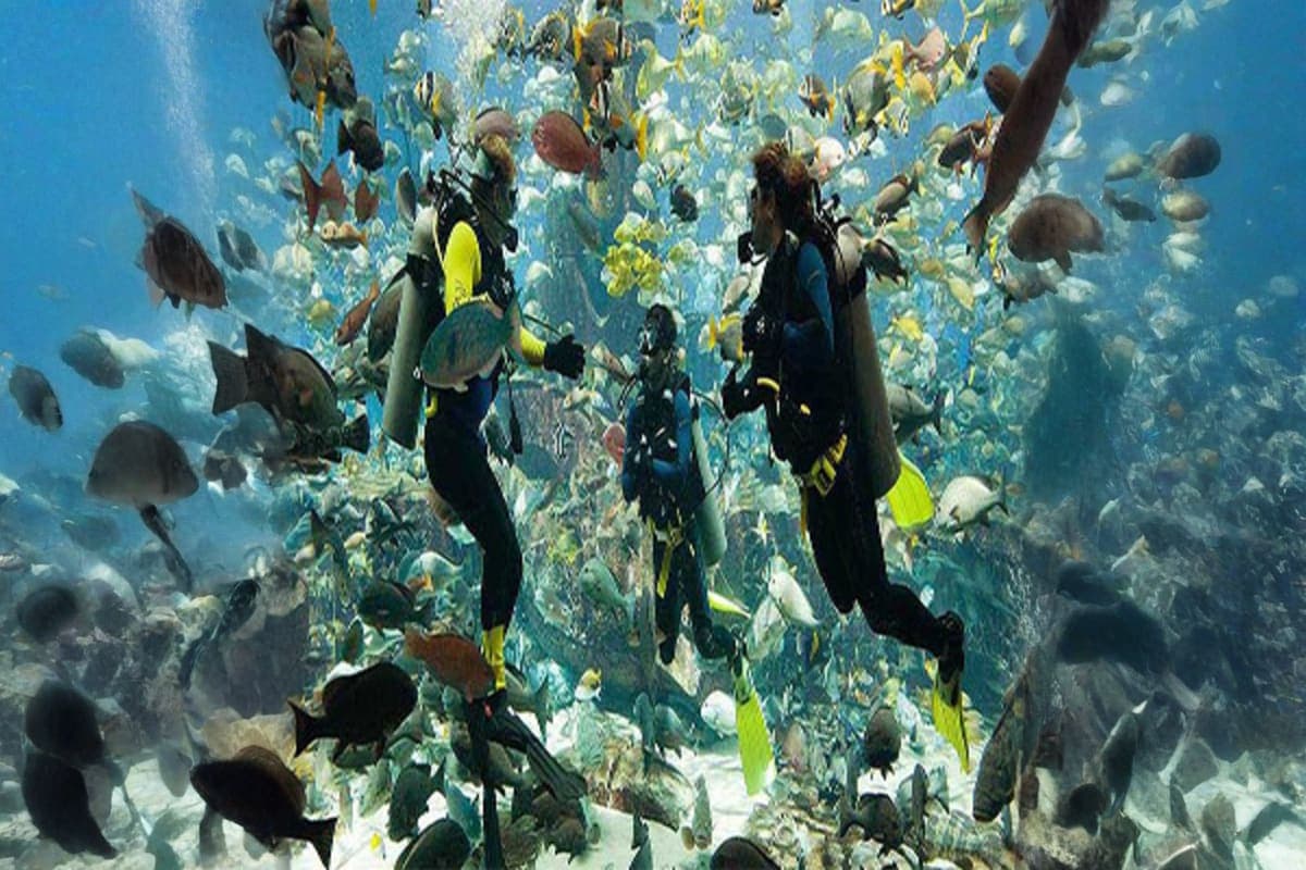 scuba diving 1