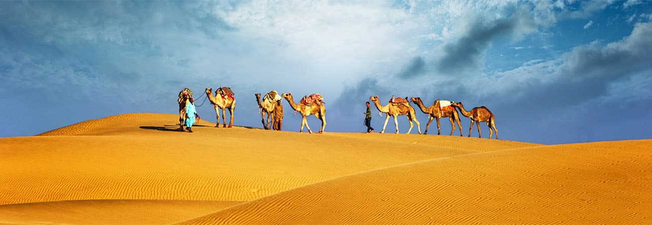 dubai camel safari
