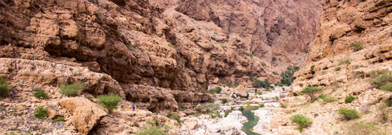wild wadi tour