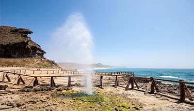 frankincense trail oman