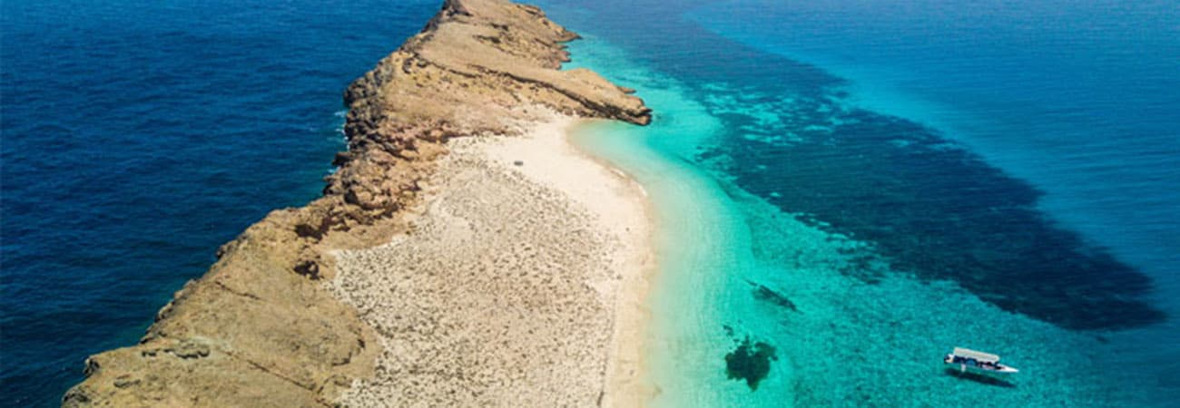 damaniyat islands by catamaran