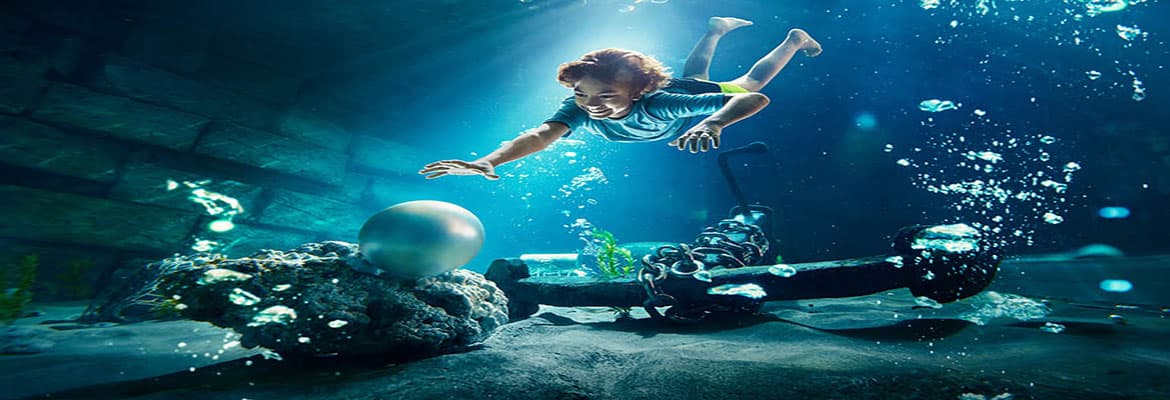 Pearl Diving
