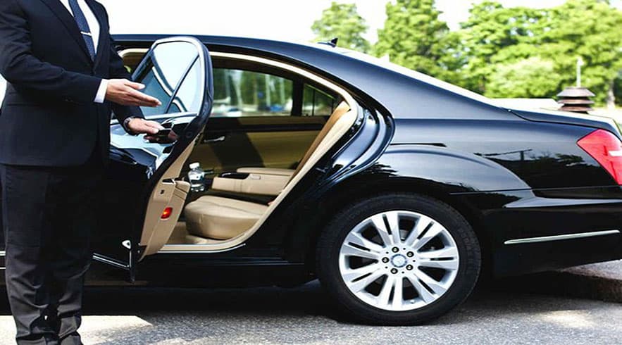 singa.jpg