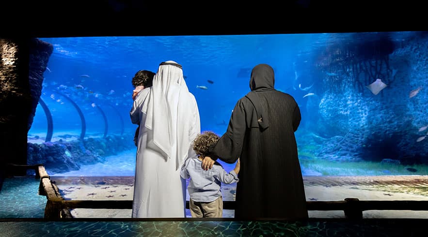 National Aquarium Visit