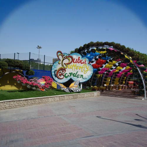 dubai butterfly garden