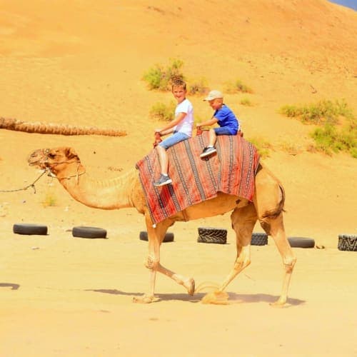 RAK Camel Ride