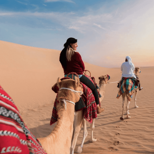 camel