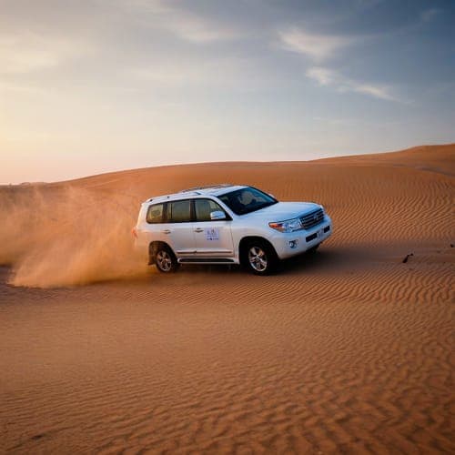 desert safari