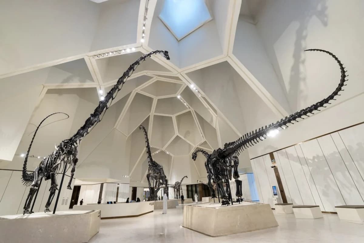 Abu Dhai Natural Museum