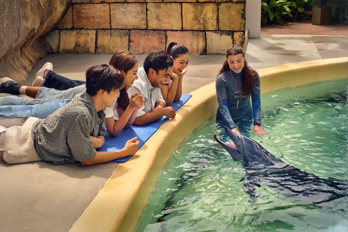 singapore ocenerium 03